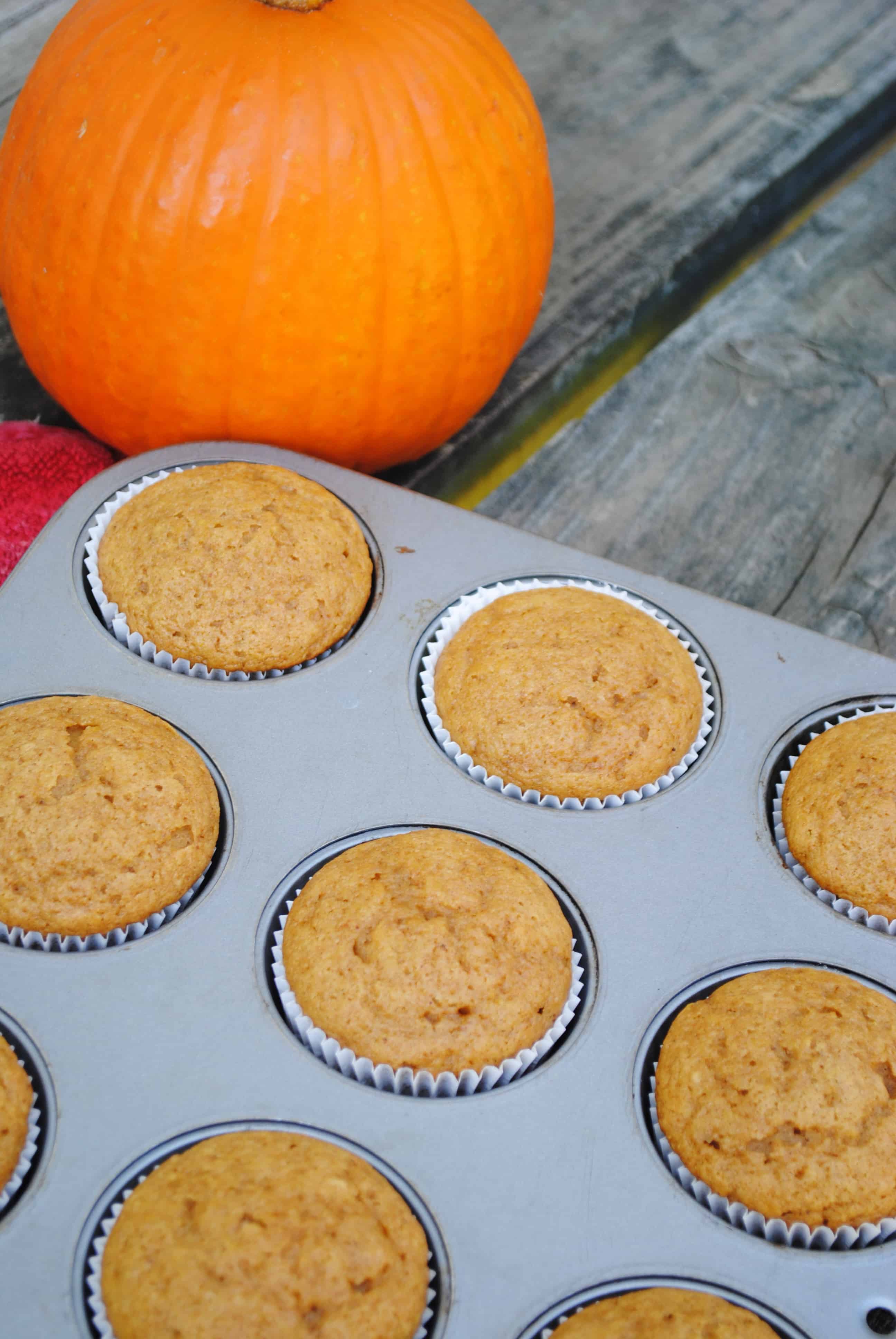 Pumpkin muffins made with fresh or canned pumpkin