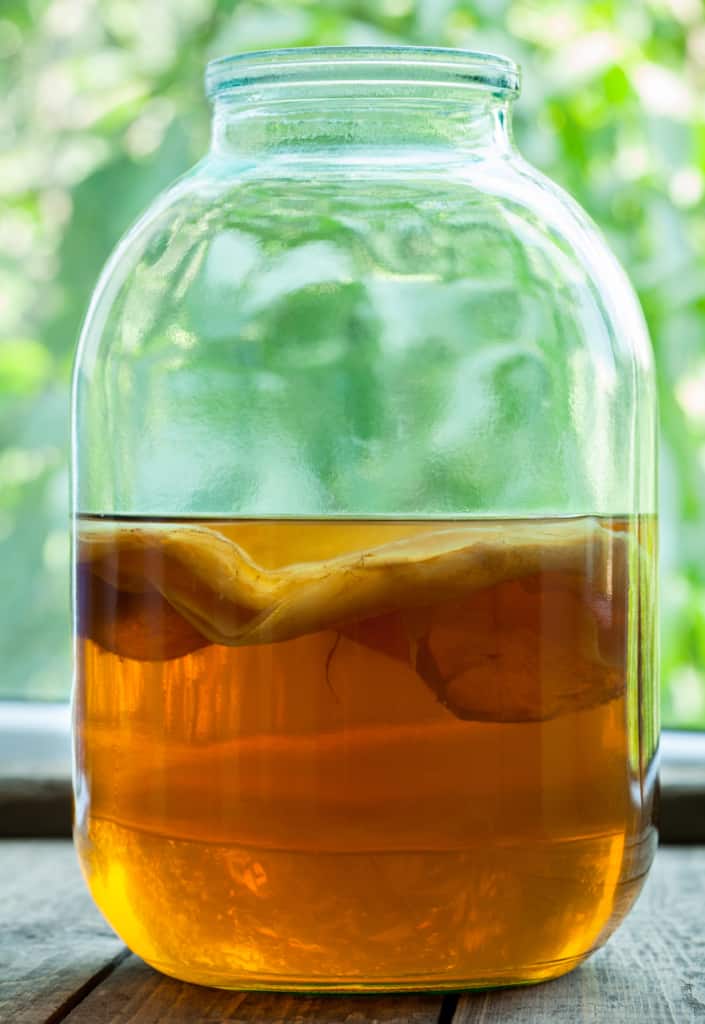 kombucha in a jar