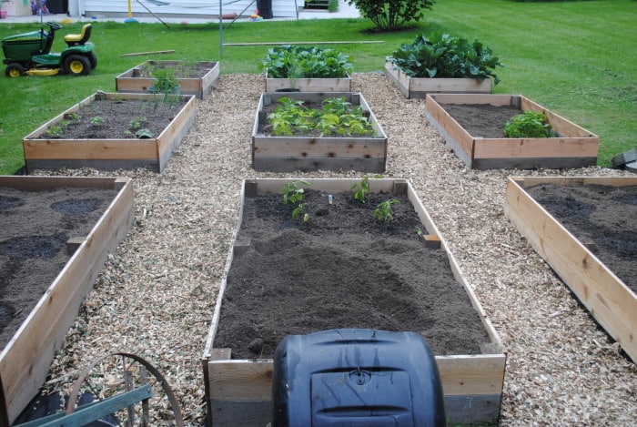 raised bed garden