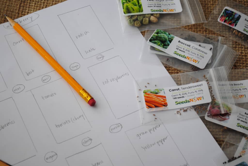 Garden plan sketch with seeds next to it