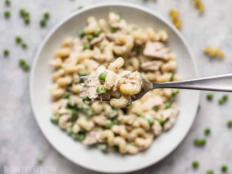 Creamy tuna pasta: canned tuna recipes